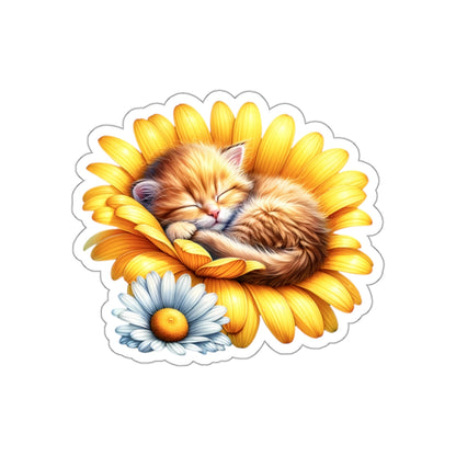 Sleeping Orange Kitten Daisy Flower Sticker