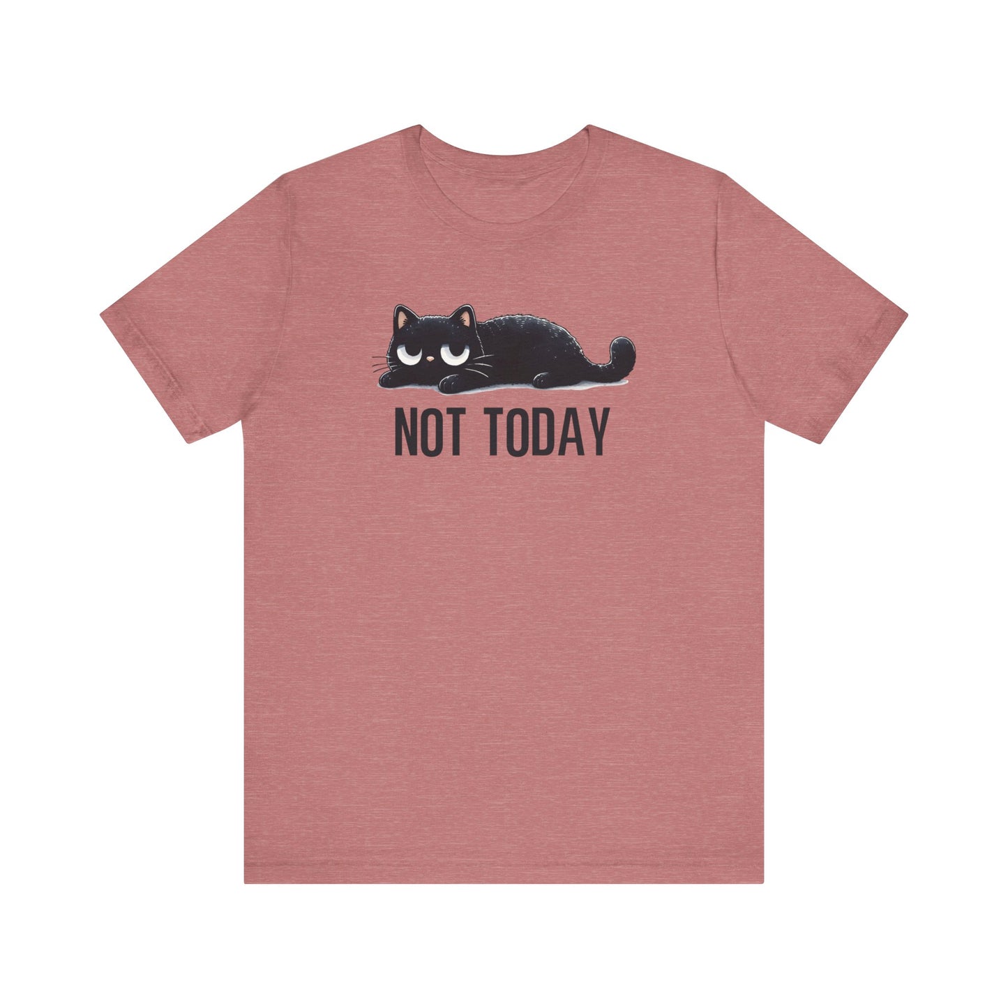 Funny Not Today Black Cat Shirt