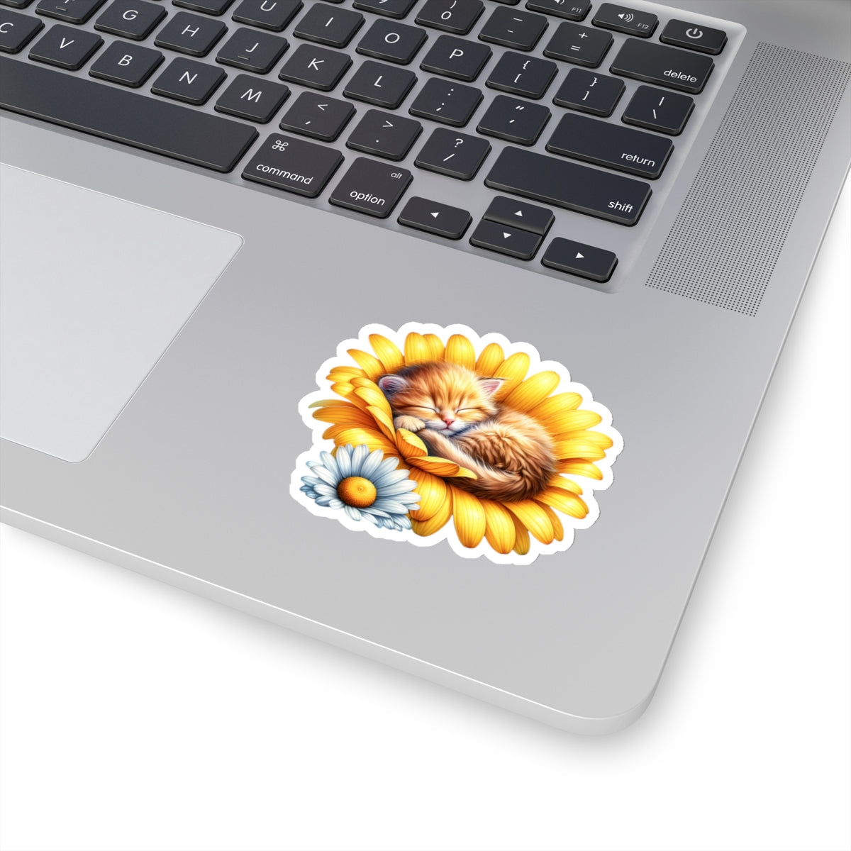 Sleeping Orange Kitten Daisy Flower Sticker