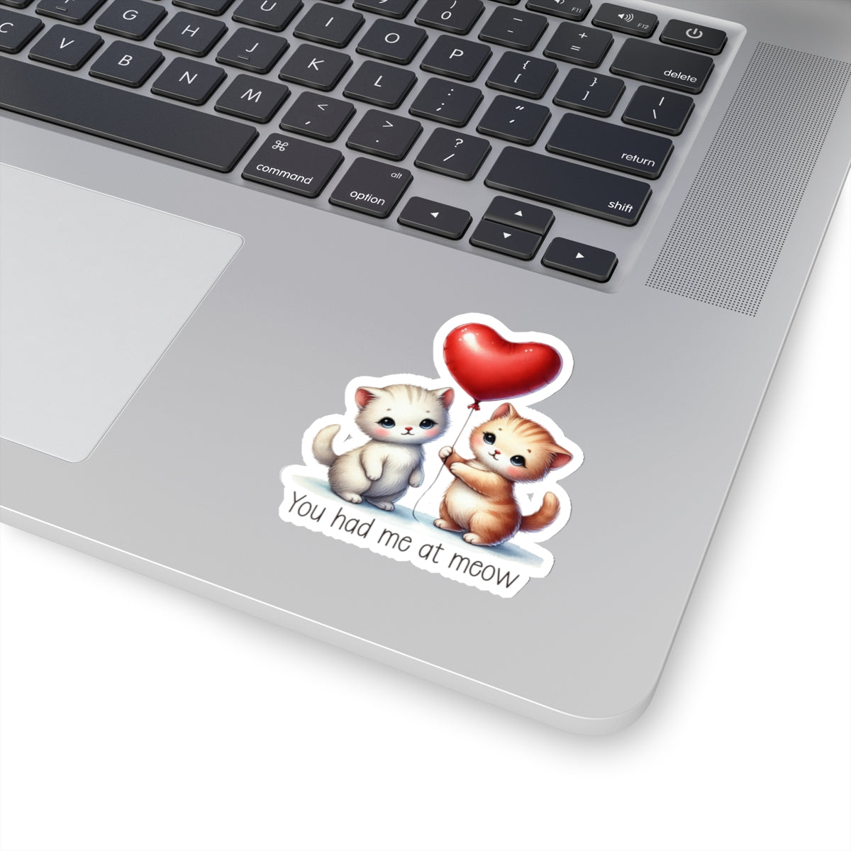 Kawaii Kittens 'You had me at meow' Sticker